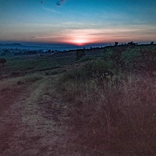 Photo #7147284