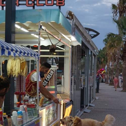 Photo #7147310