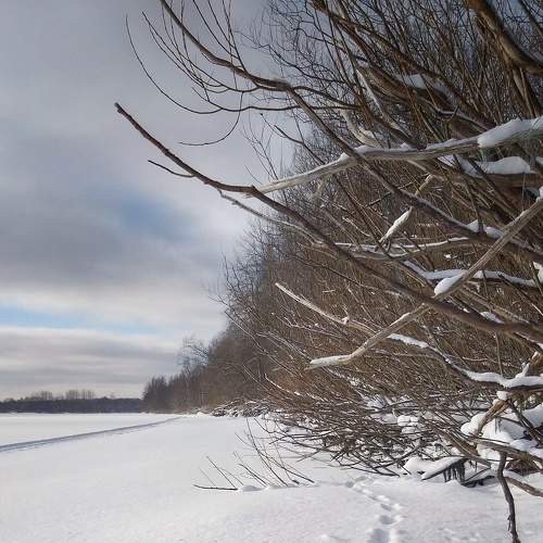 Photo #7147458