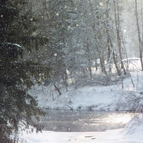Photo #7147462