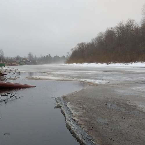 Photo #7147529