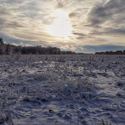 Photo #7147619