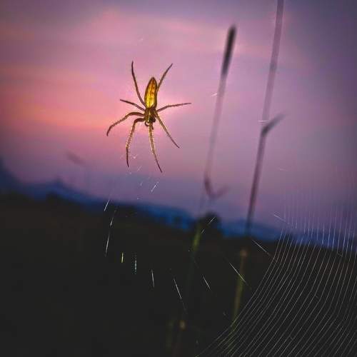 Photo #7147760
