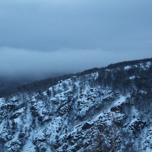 Photo #7147779