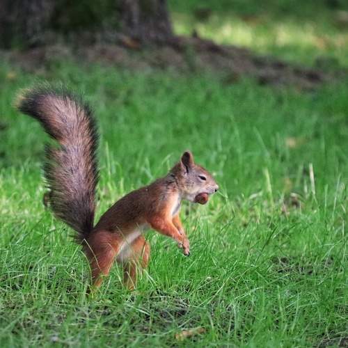 Photo #7147805