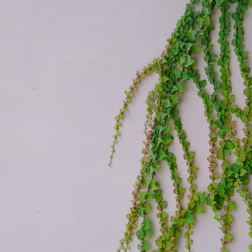 Photo #7148280