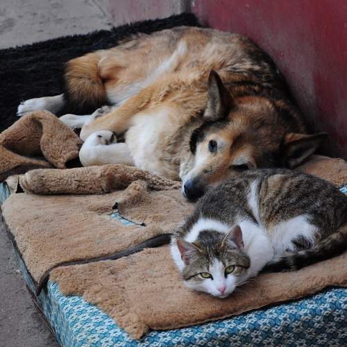 Photo #7148315