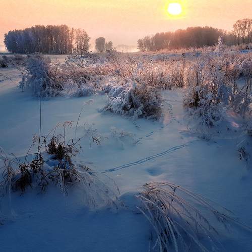 Photo #7148343