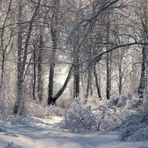 Photo #7148344