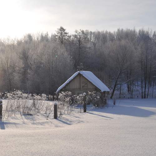 Photo #7148561