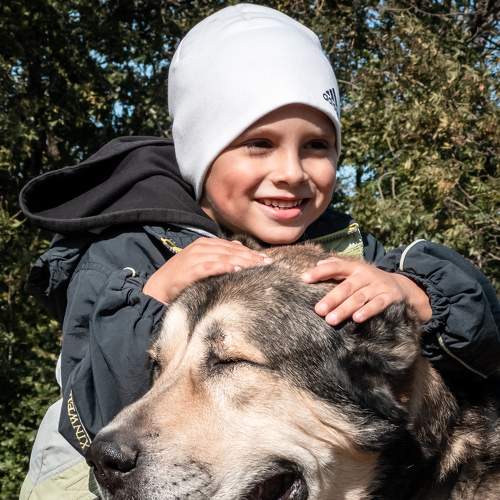 Photo #7148718