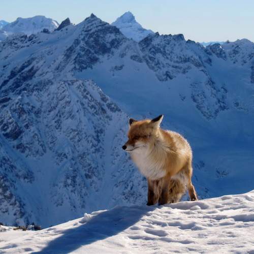 Photo #7149869