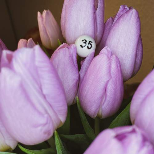 Photo #7150013