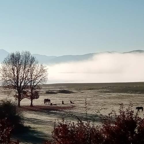 Photo #7150122