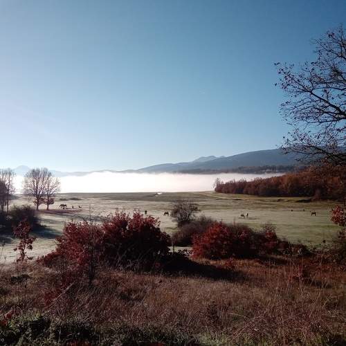 Photo #7150126