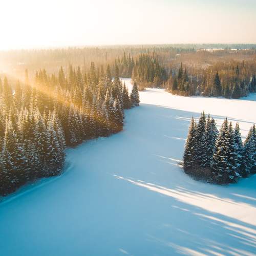 Photo #7150160