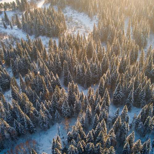 Photo #7150175