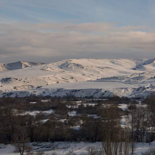 Photo #7150285