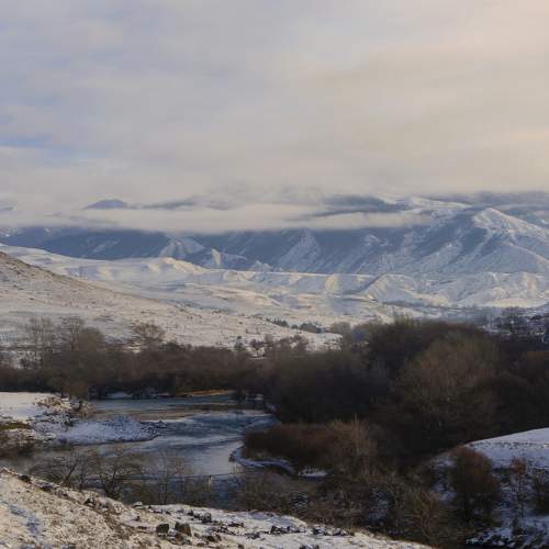 Photo #7150289