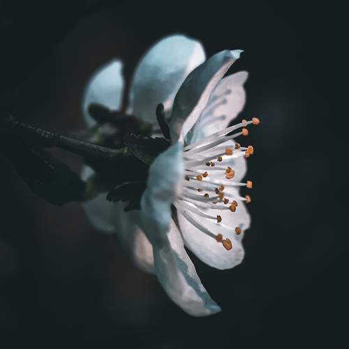 Photo #7150828
