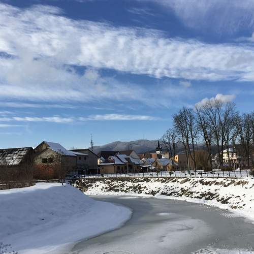 Photo #7150846