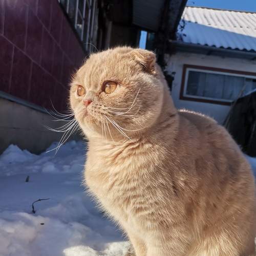 Photo #7151336