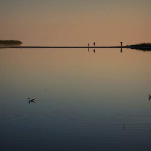 Photo #7151450