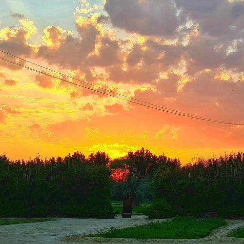 SUN SET BEHIND THE TREES