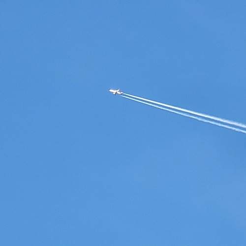 Photo #7151925