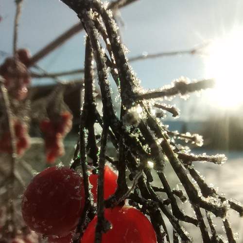 Photo #7152289