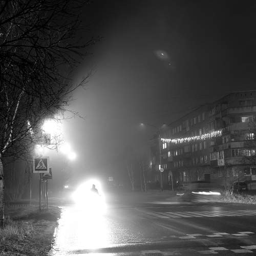 Photo #7152747