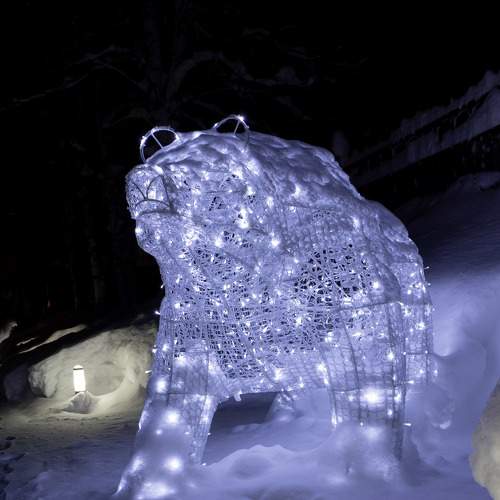 Photo #7152778