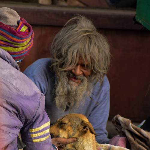 Photo #7152824