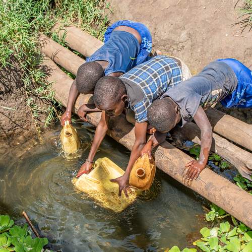 Фотография #7152847