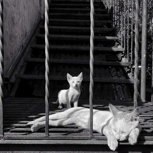 Photo #7152969