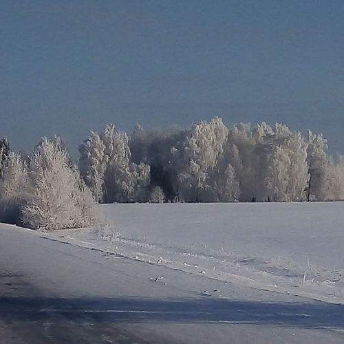 Photo #7152989
