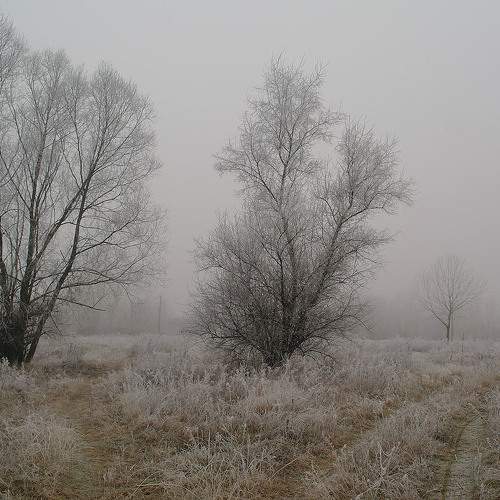Photo #7153165