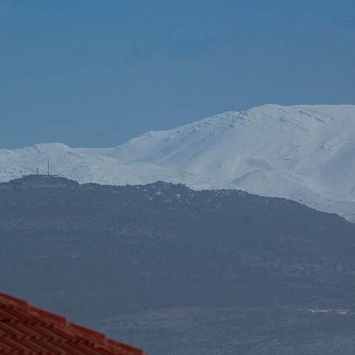 Photo #7153244
