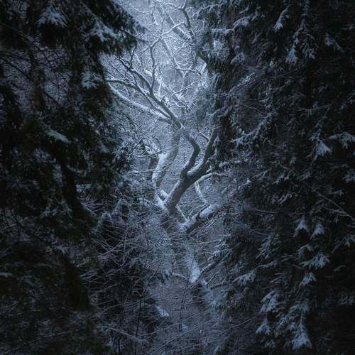 Photo #7153632