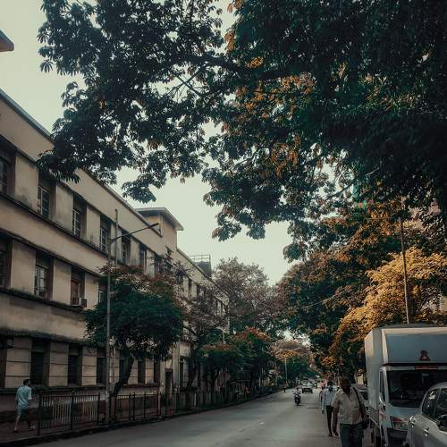 Photo #7154142
