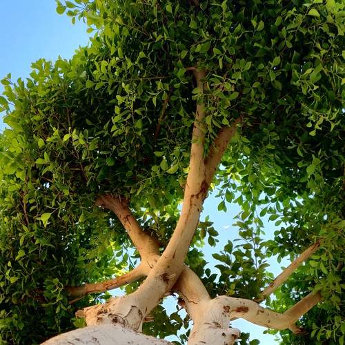 Photo #7154160