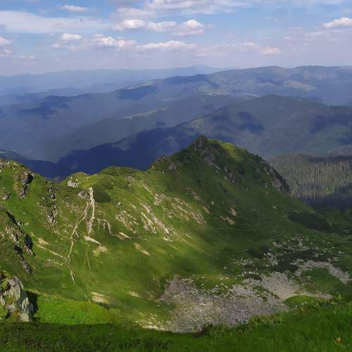 Photo #7154184