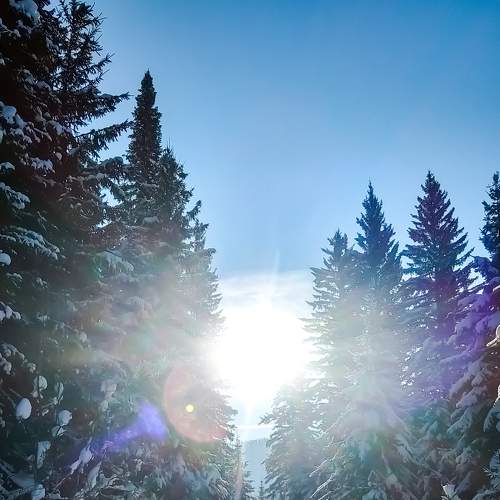 Photo #7154190
