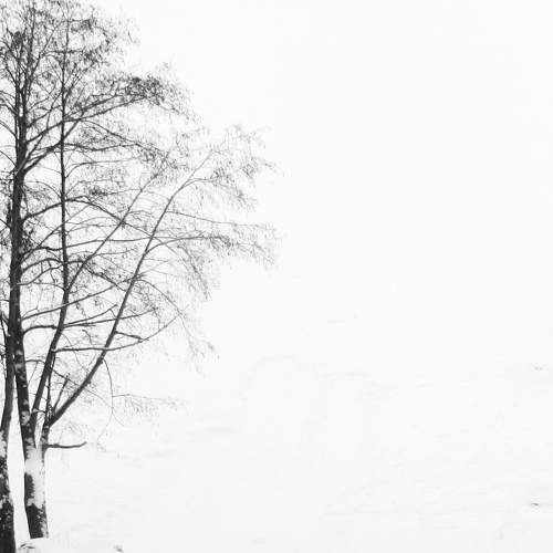 Photo #7154193
