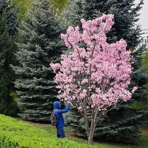 Photo #7154324