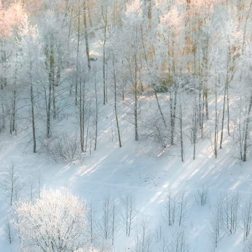 Photo #7154418