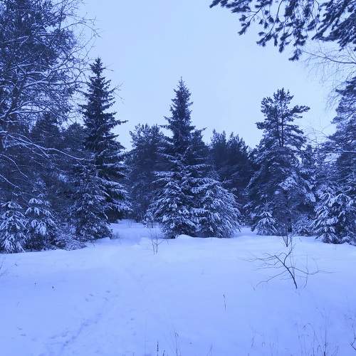 Photo #7154431