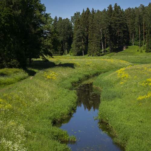 Photo #7154555