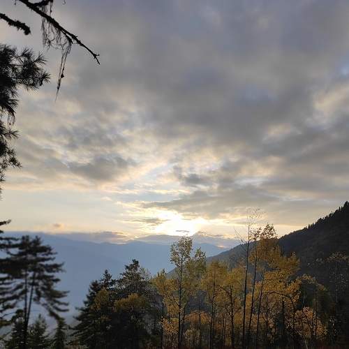 Photo #7154655