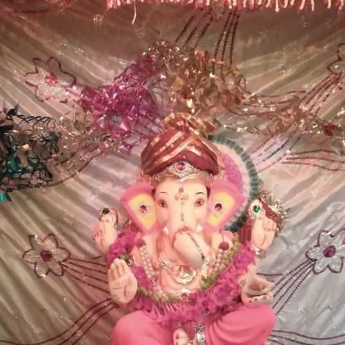 Photo #7154789